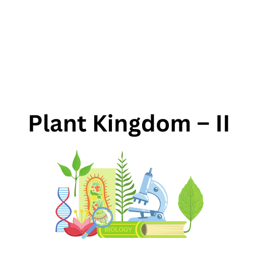 Plant Kingdom – II